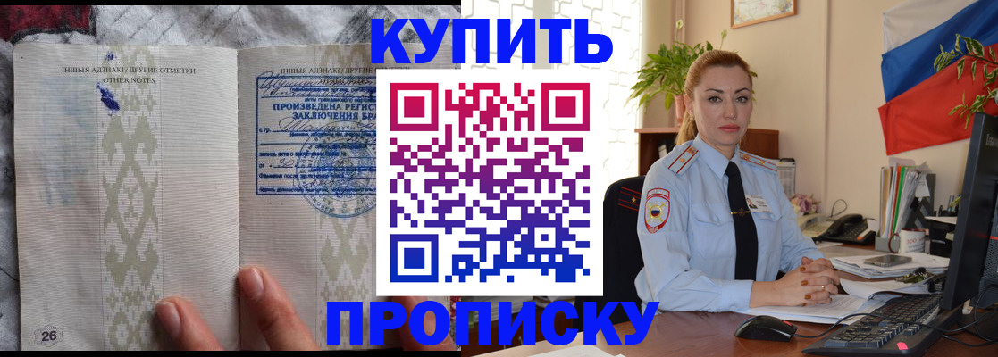 прописка поиск в Светлогорске